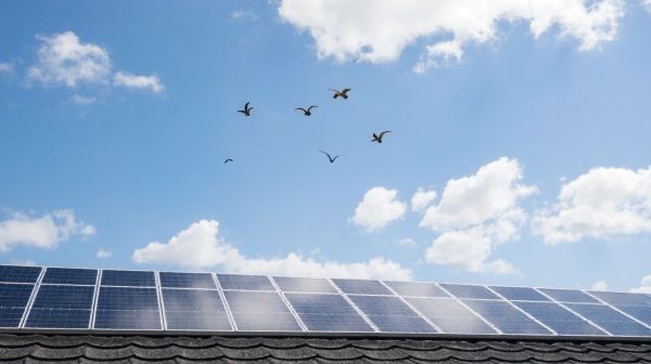 Comment les panneaux solaires peuvent optimiser votre indépendance énergétique
