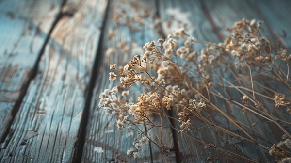 Création fleur séchée : art et simplicité