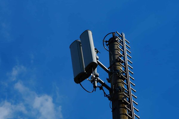 De quelle manière les bibliothèques numériques élargissent-elles l'accès au savoir ?